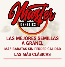 Semillas Feminizadas Baratas y de Calidad